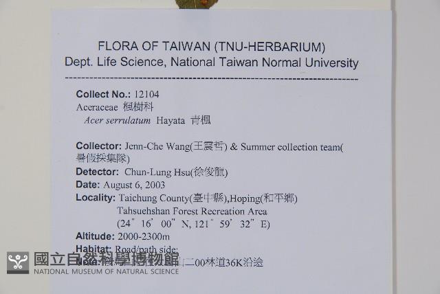 青楓藏品圖，第2張