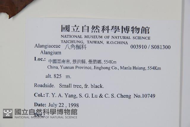 登錄號:S081300藏品圖，第2張