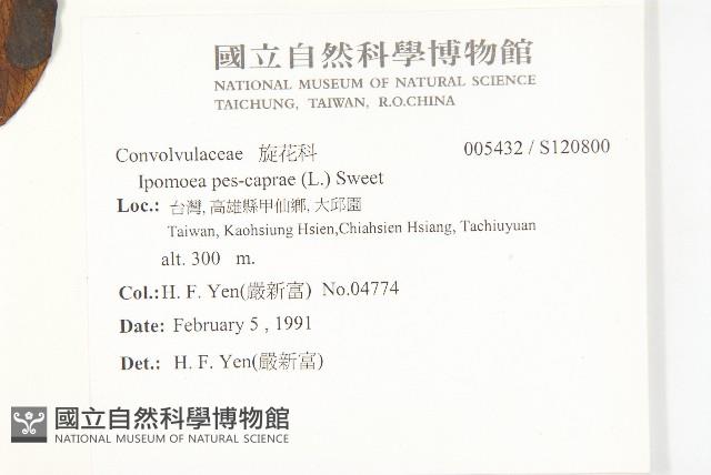 登錄號:S120800藏品圖，第2張