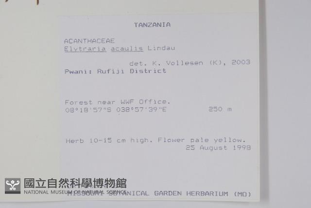登錄號:S100800藏品圖，第2張