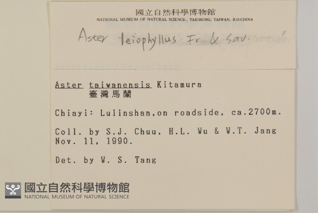 山白蘭藏品圖，第2張