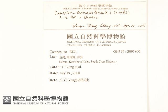 能高刀傷草藏品圖，第2張