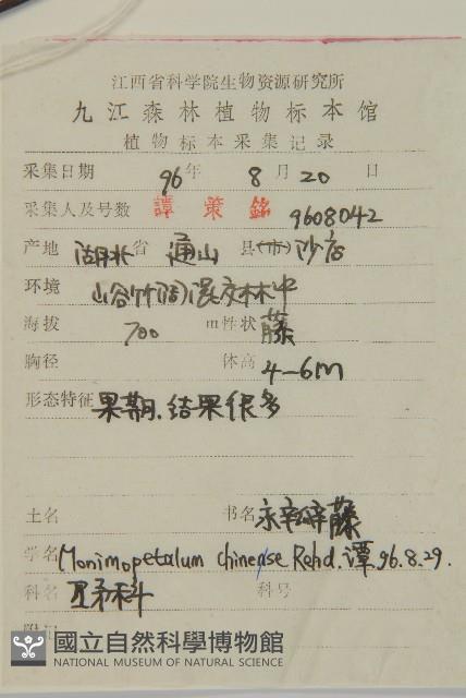 永瓣藤藏品圖，第2張