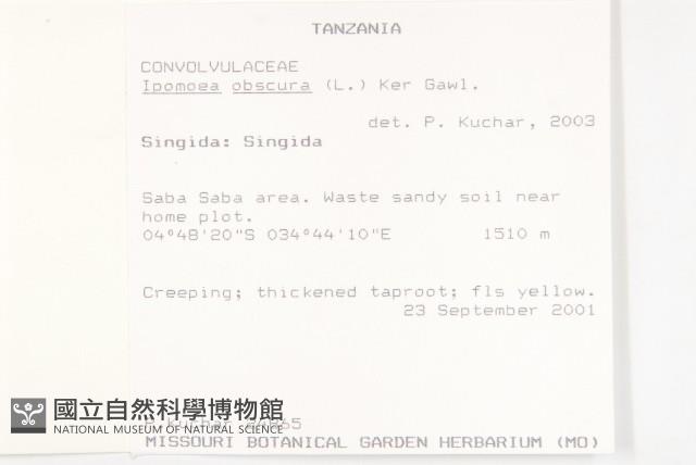 野牽牛藏品圖，第2張