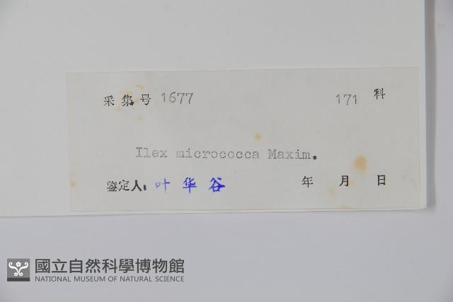 朱紅水木藏品圖，第2張