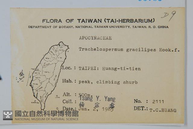 細梗絡石藏品圖，第2張