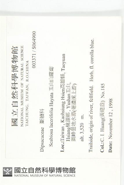 玉山山蘿蔔藏品圖，第2張