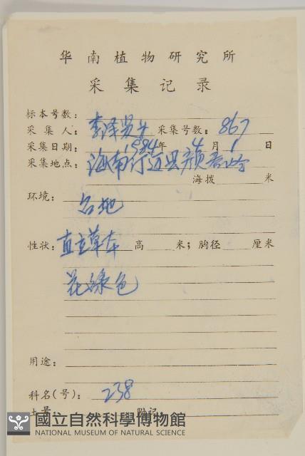 艾納香藏品圖，第2張