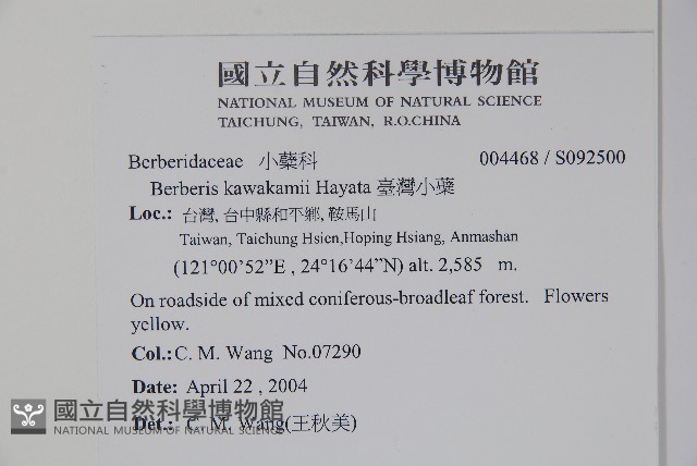 臺灣小蘗藏品圖，第2張