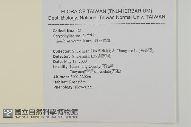 疏花繁縷藏品圖，第2張