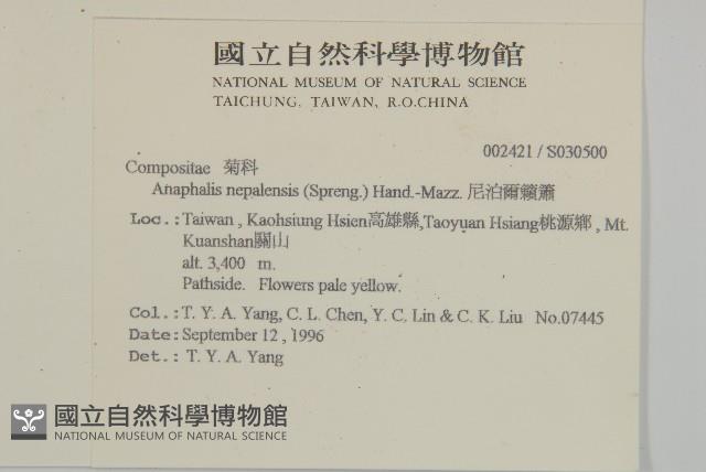 尼泊爾籟簫藏品圖，第2張