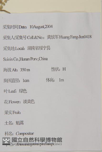 魁蒿藏品圖，第2張