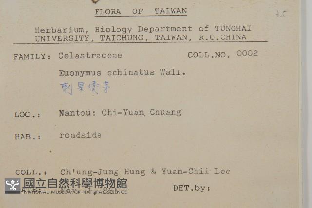 刺果衛矛藏品圖，第2張