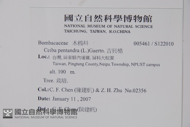 吉貝棉藏品圖，第2張
