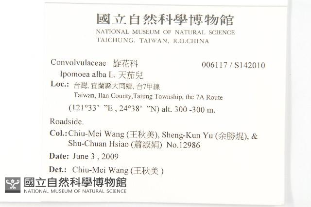 天茄兒藏品圖，第2張