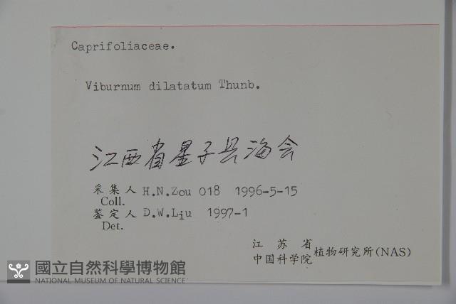 莢迷藏品圖，第2張