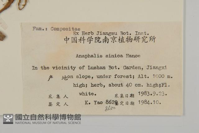 香青藏品圖，第2張