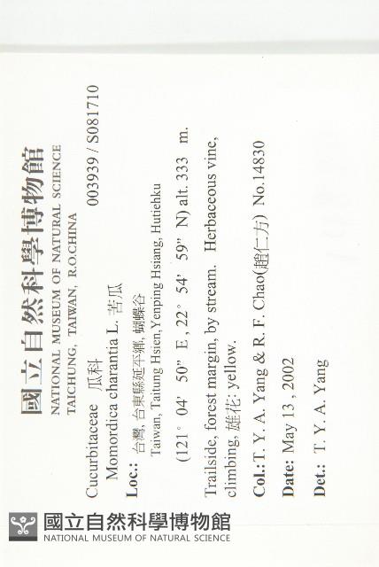 苦瓜藏品圖，第2張