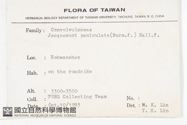 娥房藤藏品圖，第2張