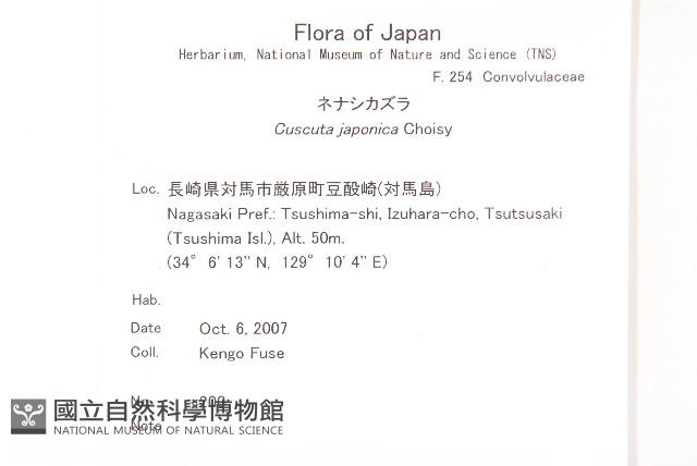 日本菟絲子藏品圖，第2張