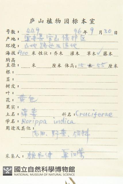 葶藶藏品圖，第2張