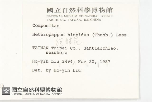 狗娃花藏品圖，第2張