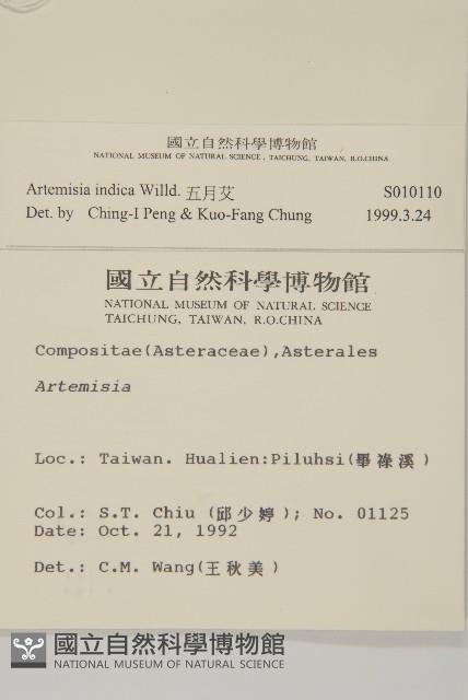 登錄號:S010110藏品圖，第2張