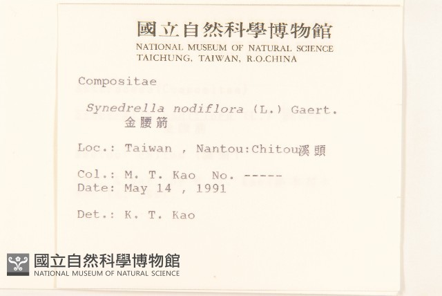 金腰箭藏品圖，第2張