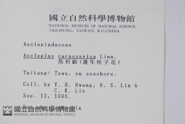 尖尾鳳、馬利筋藏品圖，第2張