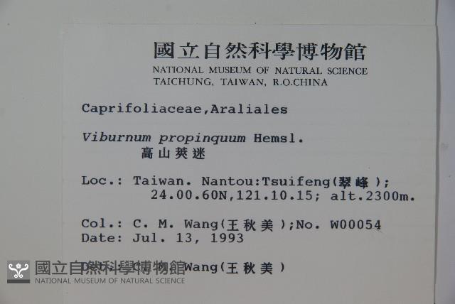 高山莢迷藏品圖，第2張