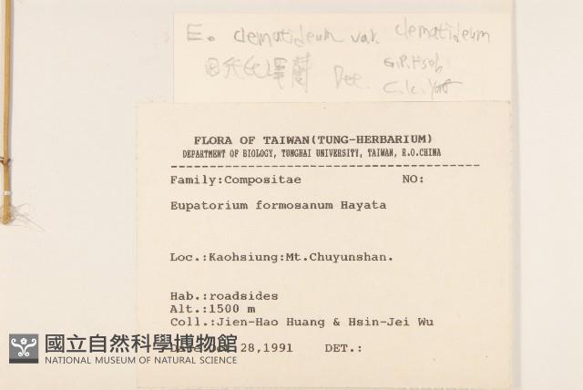 田代氏澤蘭藏品圖，第2張