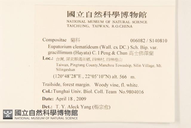 高士佛澤蘭藏品圖，第2張