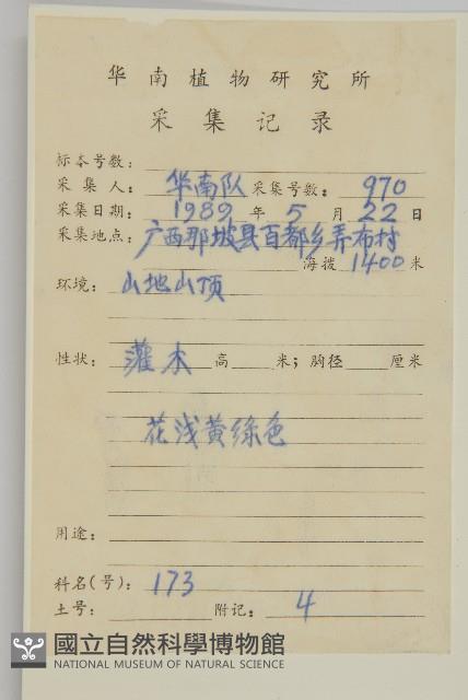 扶芳藤藏品圖，第2張