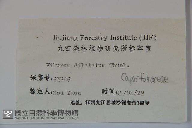 莢迷藏品圖，第2張