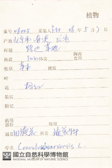 田旋花藏品圖，第2張
