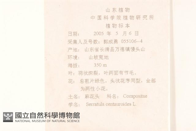 麻花頭藏品圖，第2張