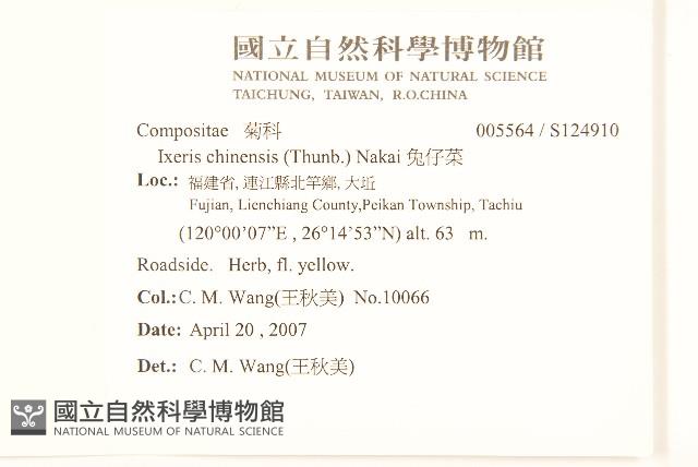 兔仔菜藏品圖，第2張