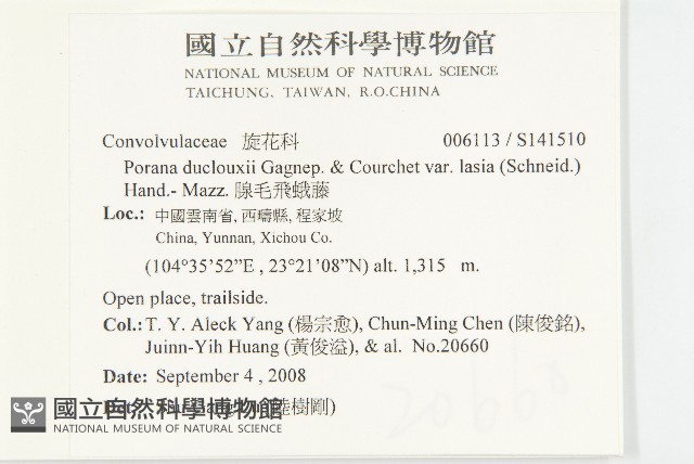 腺毛飛蛾藤藏品圖，第2張