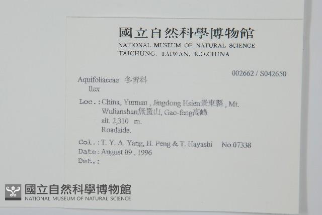 登錄號:S042650藏品圖，第2張