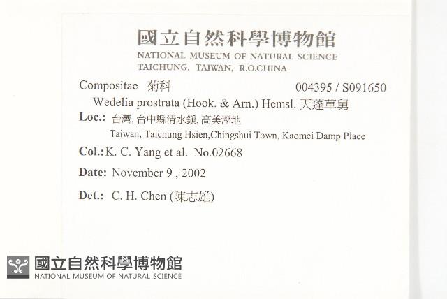 天蓬草舅藏品圖，第2張