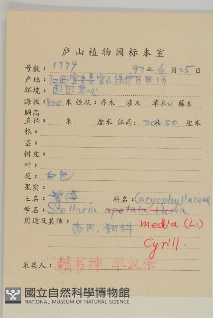 繁縷藏品圖，第2張