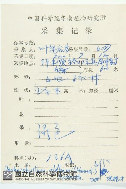 俄氏虎皮楠、蘭嶼虎皮楠、虎皮楠藏品圖，第2張