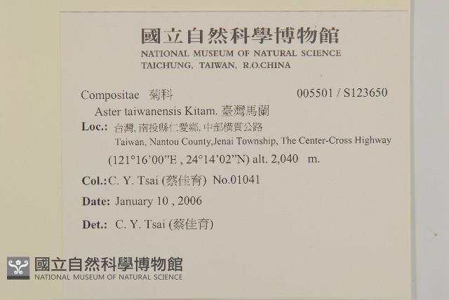 臺灣馬蘭藏品圖，第2張