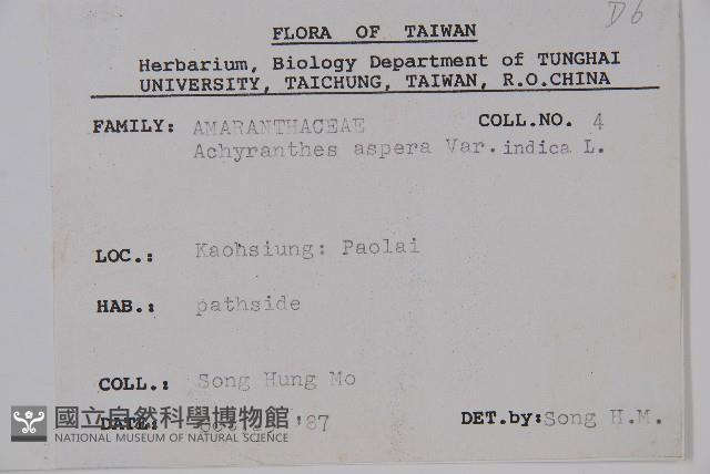 印度牛膝、土牛藤藏品圖，第2張