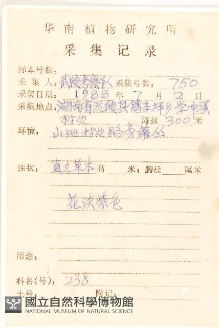 雞兒腸藏品圖，第2張