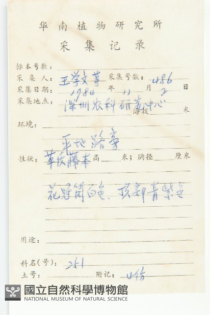 裂葉牽牛藏品圖，第2張