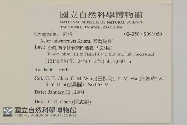 臺灣馬蘭藏品圖，第2張