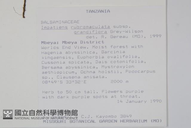 登錄號:S094050藏品圖，第2張