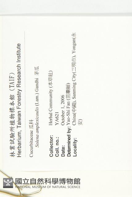 茅瓜藏品圖，第2張