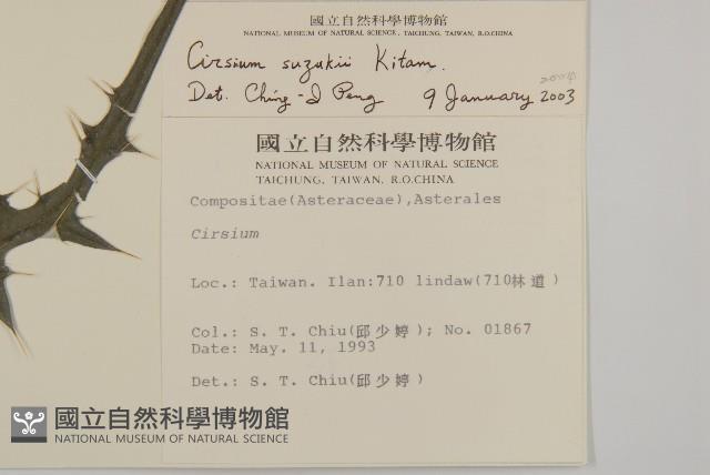 鈴木氏薊藏品圖，第2張